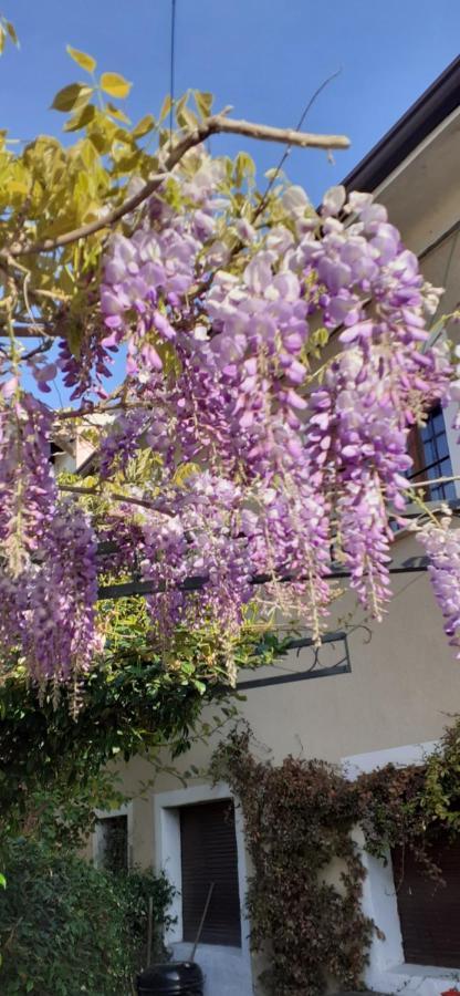 Residenza La Dimora Imperfetta Hotel Salionze ภายนอก รูปภาพ